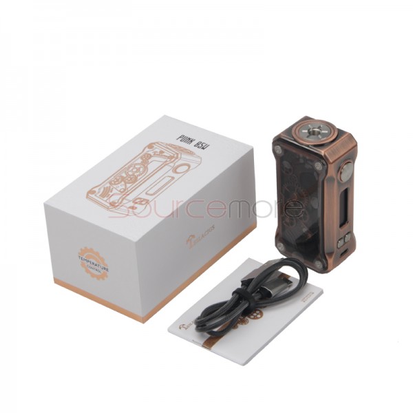 Tesla Punk 85W Mod - Copper