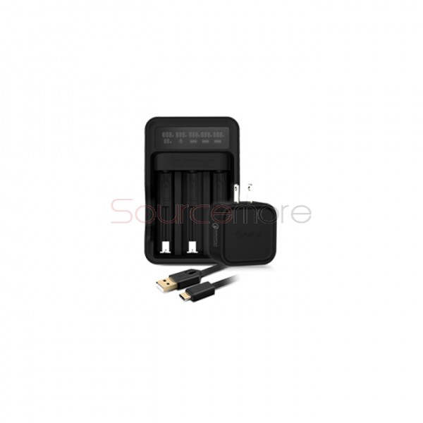Avatar Intelligent Battery Digicharger Kit