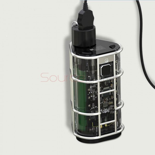 Wismec EXO SKELETON ES300 200/300W Mod