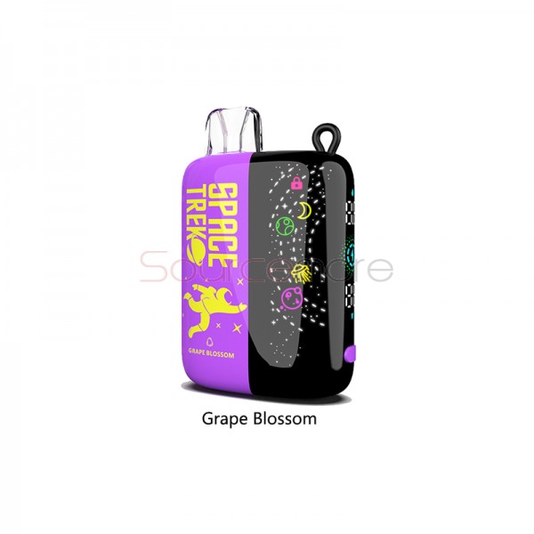 Vapmod Space Trek Disposable Vape Kit Grape Blossom