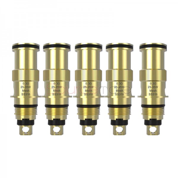 Wellon Beyond AIO Coil 0.3ohm 5pcs