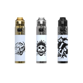 Oumier Wasp Nano Stick Kit