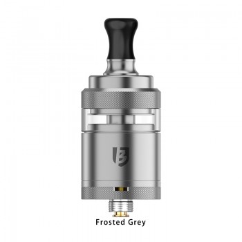 Vandy Vape BSKR Mini V3 MTL RTA Froested Gray