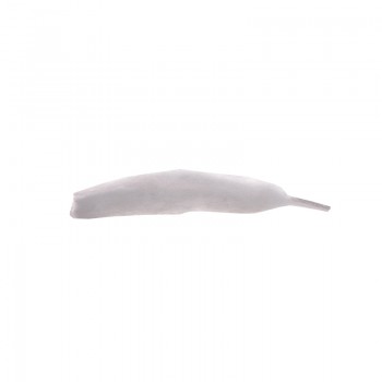Wotofo 5mm Thick Cotton Strip
