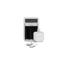 Avatar Intelligent Battery Digicharger Kit