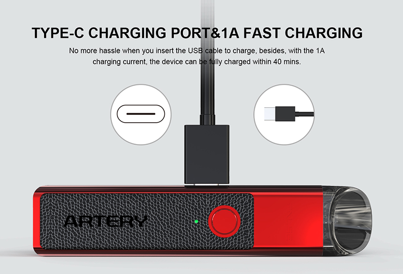 Artery PAL SE Kit New Version Type-C Charging Port