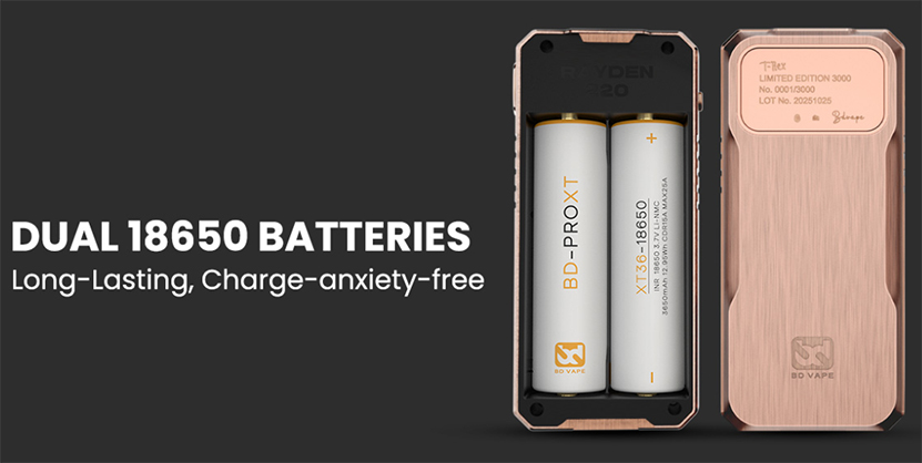 BD Vape Mod Rayden 220 Dual 18650 Batteries