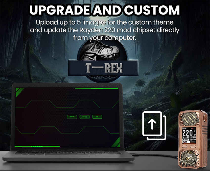 BD Vape Mod Rayden 220 Upgrade and Custom