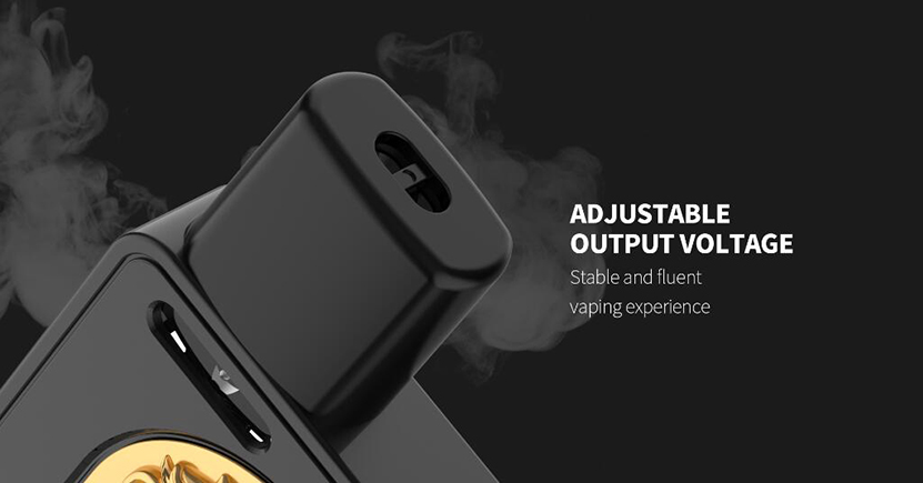 Quizz ROARK Pod Kit Feature 2