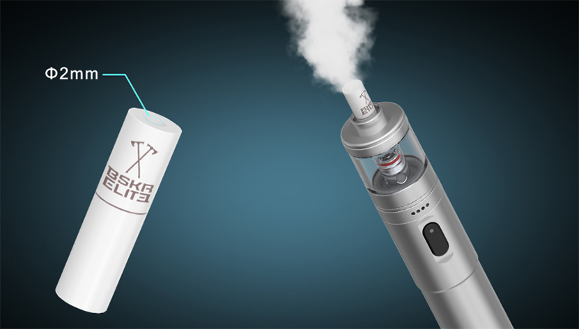 Vandy Vape BSKR Elite Kit Filter