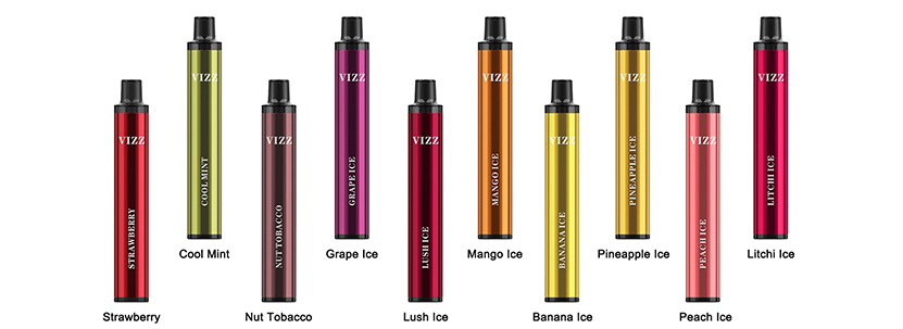 Vizz Lit Disposable Pod Kit 600 puffs
